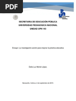 Ensayo La Investigación-Acción
