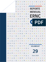 RMensual ERNC v201901