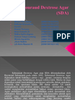 Sabouraud Dextrose Agar (SDA)