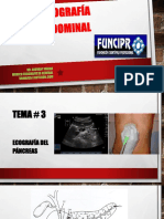 Tema 3 Pancreas