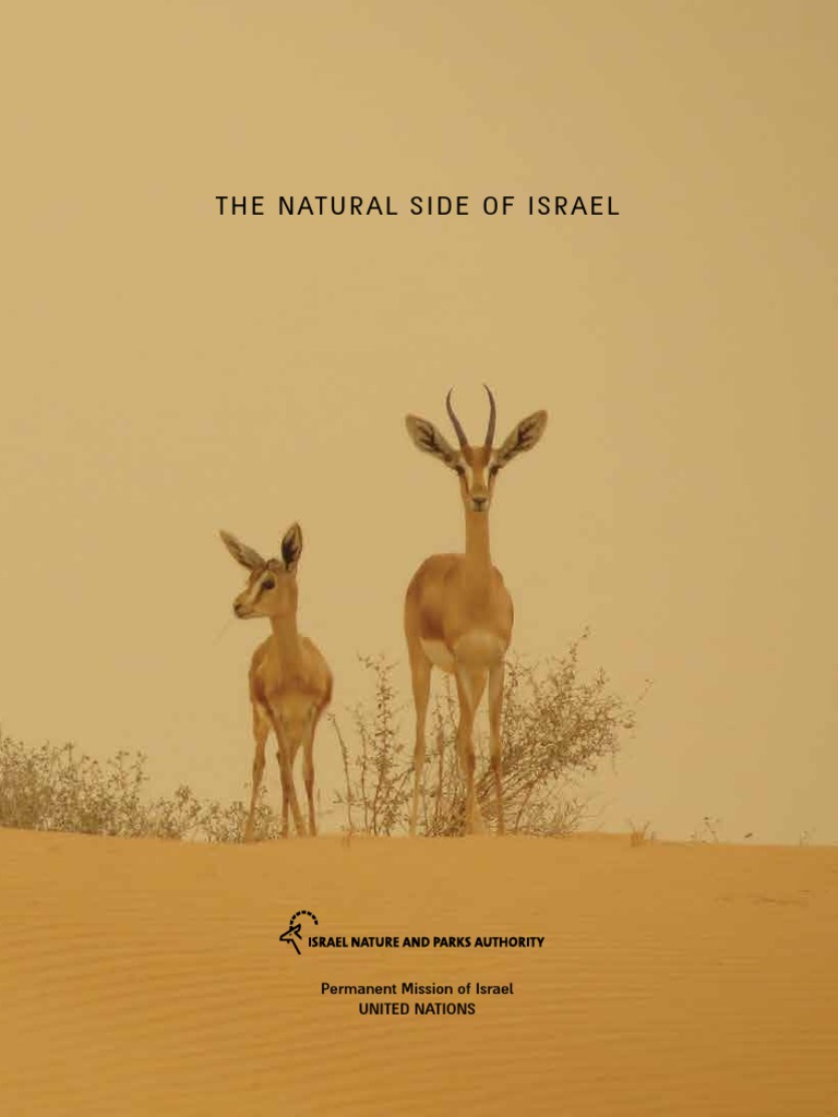 Israel's Biodiversity and Conservation Efforts | PDF | Deer | Sea