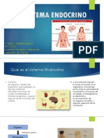 Sistema Endocrino