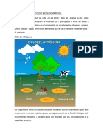 LOS 5 PRINCIPALES CICLOS BIOGEOQUÍMICOS.docx