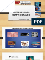 ENFERMEDADES OCUPACIONALES UAP