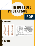 Hernia Nukleus Prolapsus