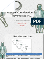 Muscular Considerations For Movement (Part 2) : EL5004 Biomekanika