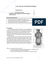 Human Anatomy Lab: Thoracic and Abdominal Regions: Table of Contents: - . - 1 - . - . - . 1 - . - 2 3 - . - . - . 5