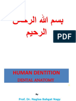 Dental Anatomy 1