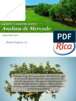 Analisis de Mercado Grupo Rica