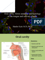 Gross Anatomy and Histology of the Oral Cavity