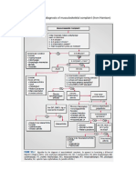 Algorithm For The Diagnosis of Musculoskeletal Complaint