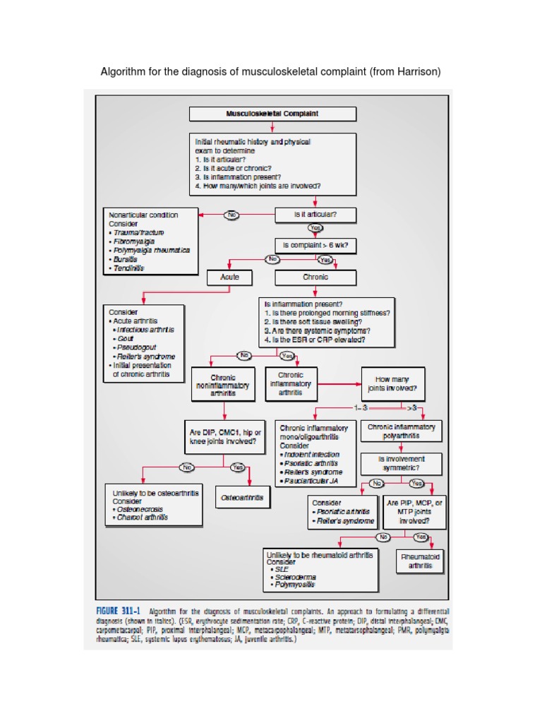 Musculoskeletal Diagnosis Guide | PDF