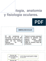 Embriología, Anatomía y Fisiología Oculares-1