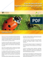 Pulgones y sus enemigos naturales.pdf