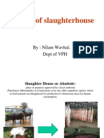 Layout of Slaughterhouse: By: Nilam Wavhal. Dept of VPH