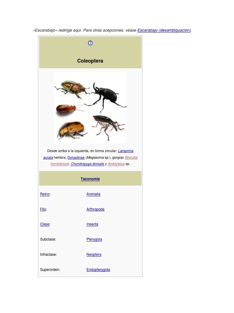 Taxonomía y tipos de cucarrones | PDF | Escarabajo | Insectos