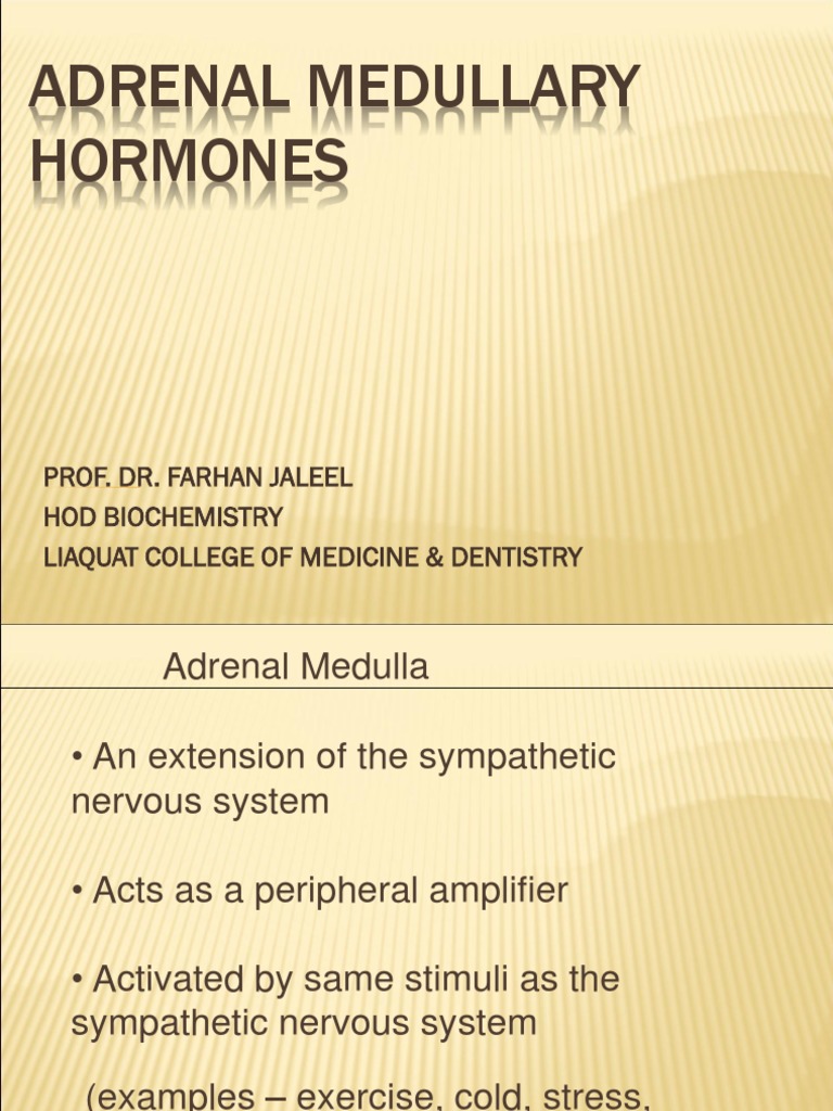 Adrenal Medullary Hormones PDF Adrenal Gland Norepinephrine