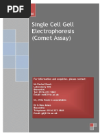 Single Cell Gel Electrophoresis