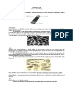 Cell Theory