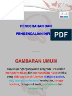 ppi.ppt