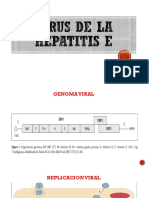 Virus de La Hepatitis e (1)