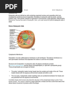 Garnet Gaia O. Diaz XII-Newton: Eukaryotic Cell