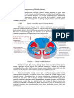 383665589-Traktus-Somatosensorik-Medulla-Spinalis-2.docx