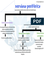 Sistema Nervioso Periférico