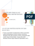 Anatomi Fisiologi Systema Reproduksi