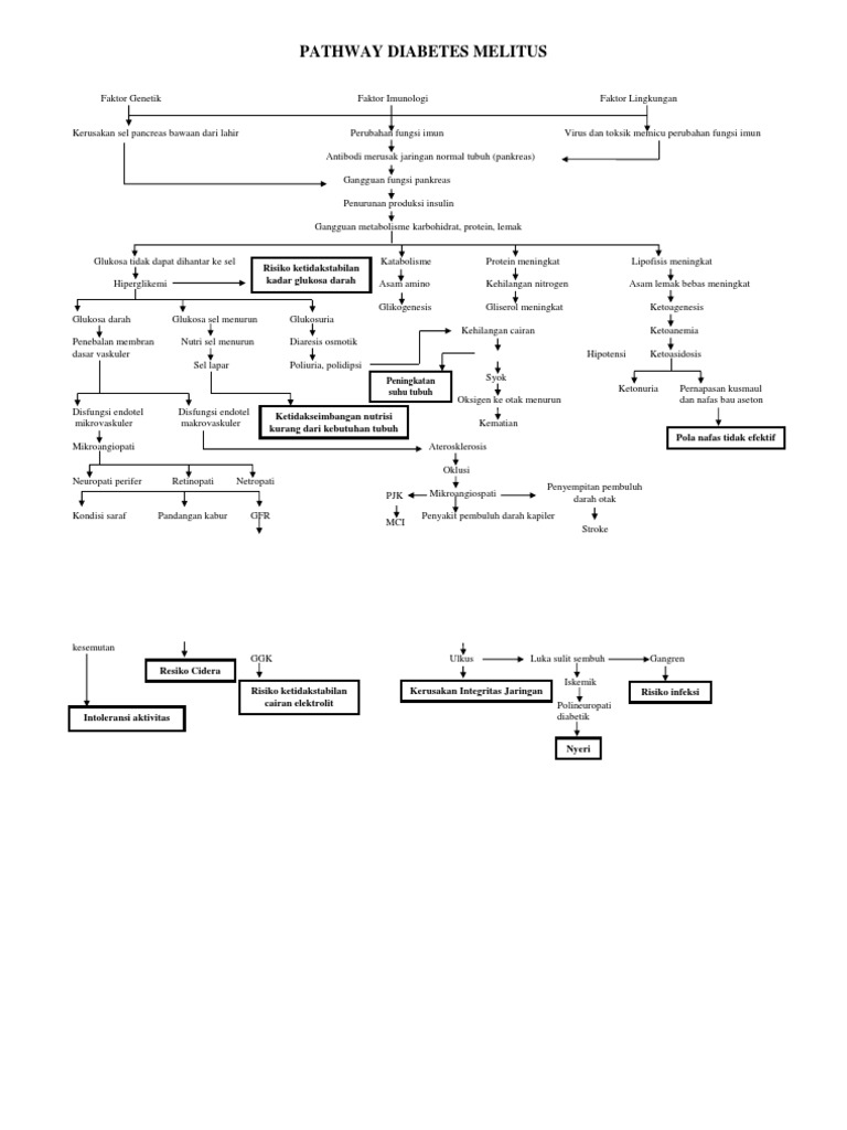 2 - Pathway Diabetes Melitus | PDF