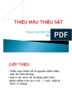 BS M.lan-Thieu Mau Thieu Sat