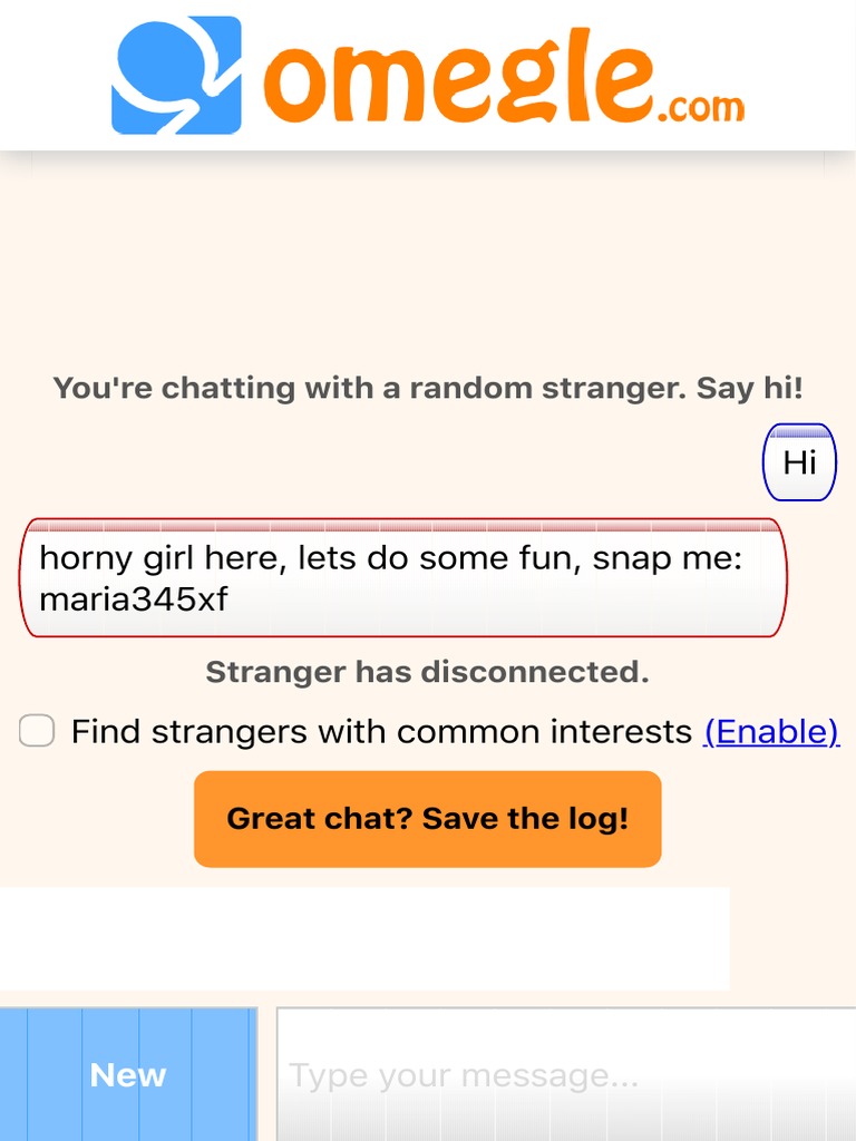 Omegle Talk To Strangers! PDF