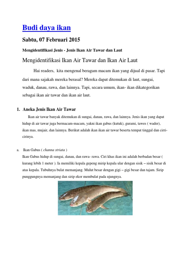 43+ Jenis Ikan Air Tawar Dan Cirinya HD