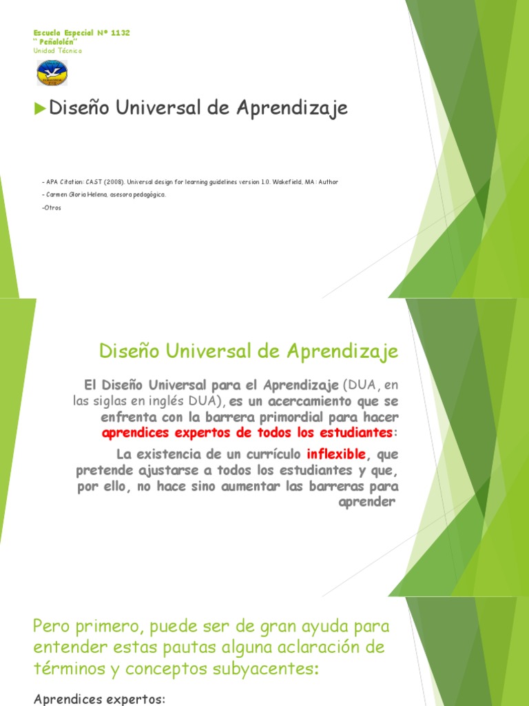 Diseño Universal de Aprendizaje en Educación | PDF | Plan de estudios ...