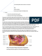 The Female Reproductive System Ana Phy