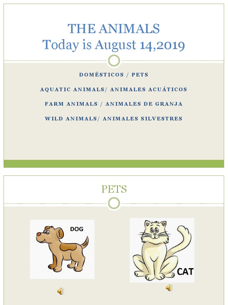The Animals Today Is August 14,2019 | PDF
