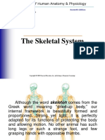 Skeletal System - 2014 1