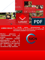 Libro Rojo