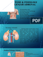 Anatomi dan Fisiologi Kelenjar Adrenal