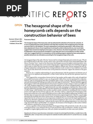 The Hexagonal