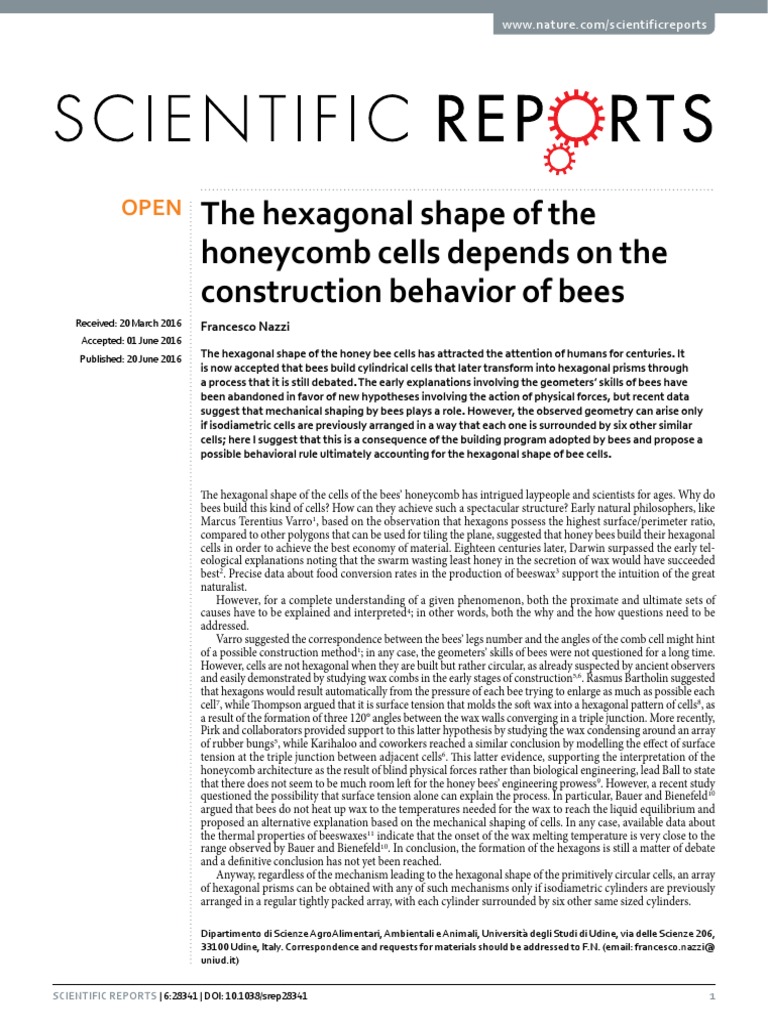 How Bees Shape Hexagonal Honeycomb Cells | PDF | Teaching Mathematics ...