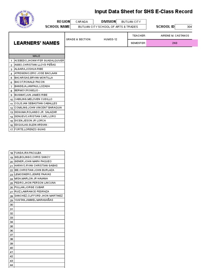 Learners names input data sheet for shs e class record pdf
