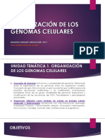 Organización de Los Genomas 2019