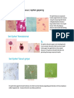 pdfslide.net_atlas-sedimen-urin.doc