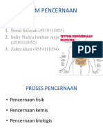 ppt sistem pencernaan.ppt