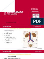 Xiii. - Anatomia y Fisiologia Del Sistema Urinario