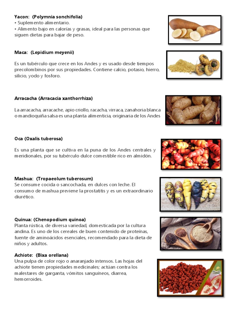 QUE SON LAS PLANTAS NATIVAS EJEMPLOS visual data 3