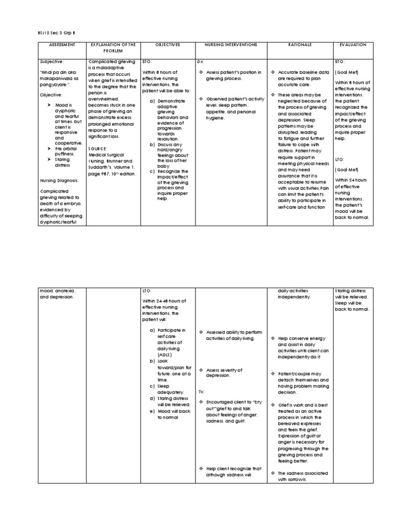 ncp-grieving-pdf-grief-nursing
