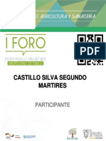 Castillo Silva Segundo Martires: Participante