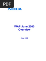 WAP2000 Overview